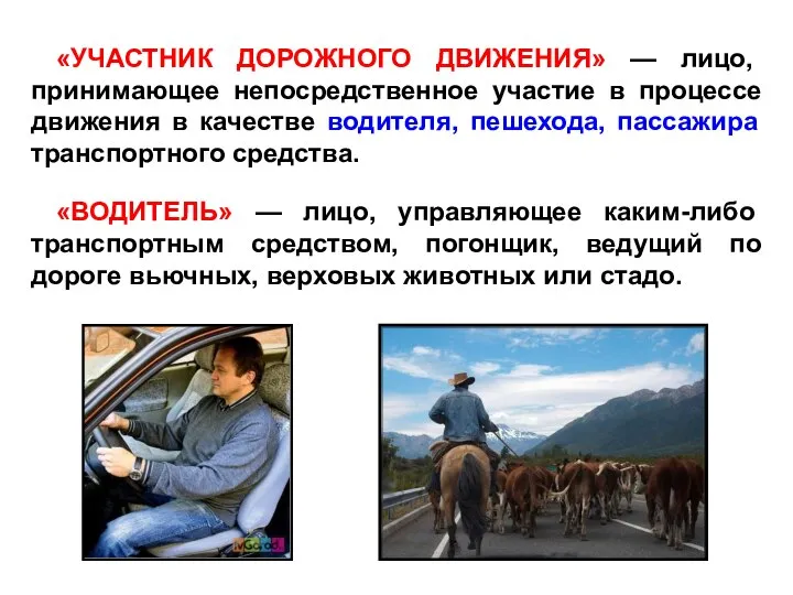 «УЧАСТНИК ДОРОЖНОГО ДВИЖЕНИЯ» — лицо, принимающее непосредственное участие в процессе движения