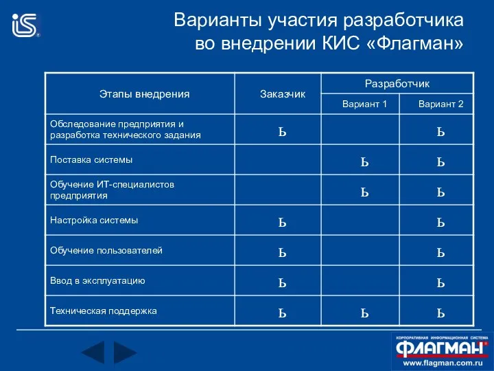 Варианты участия разработчика во внедрении КИС «Флагман»