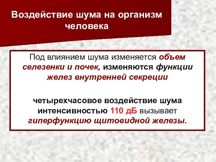 Воздействие шума на организм человека Под влиянием шума изменяется объем селезенки