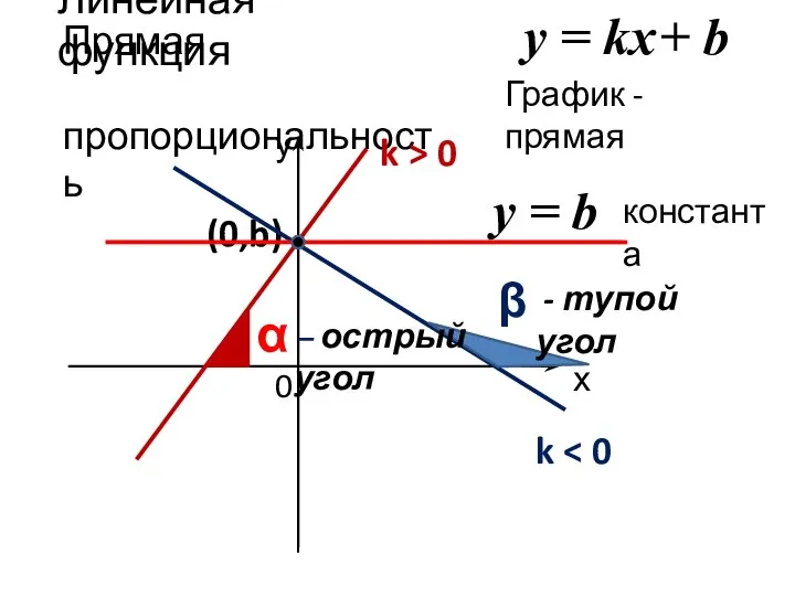 Линейная функция у = kx + b Прямая пропорциональность х у