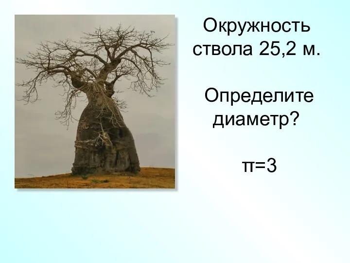 Окружность ствола 25,2 м. Определите диаметр? π=3