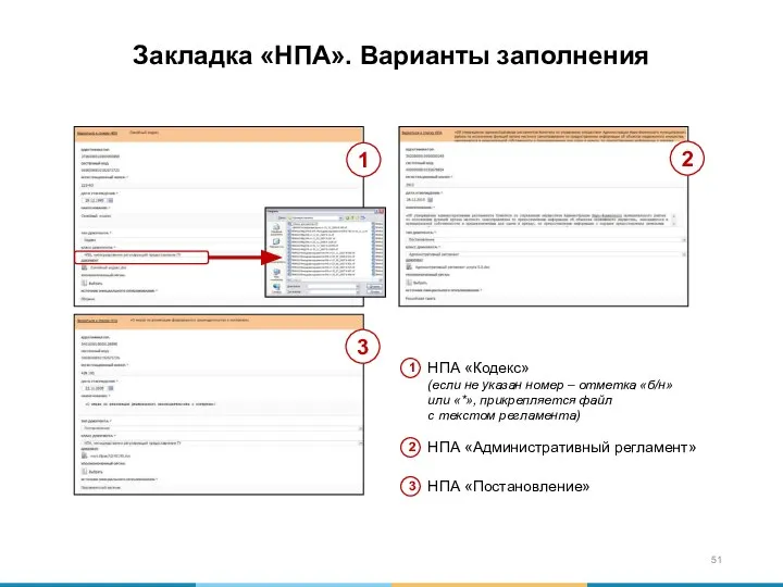 Закладка «НПА». Варианты заполнения