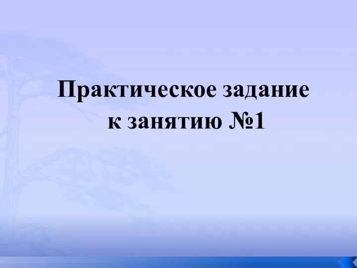 Практическое задание к занятию №1