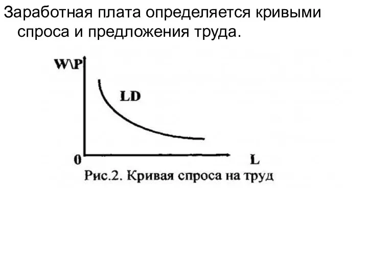 Заработная плата определяется кривыми спроса и предложения труда.