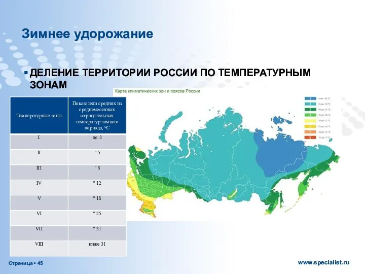 Зимнее удорожание ДЕЛЕНИЕ ТЕРРИТОРИИ РОССИИ ПО ТЕМПЕРАТУРНЫМ ЗОНАМ