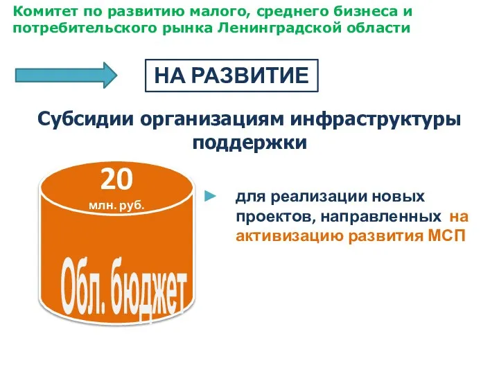 Субсидии организациям инфраструктуры поддержки для реализации новых проектов, направленных на активизацию