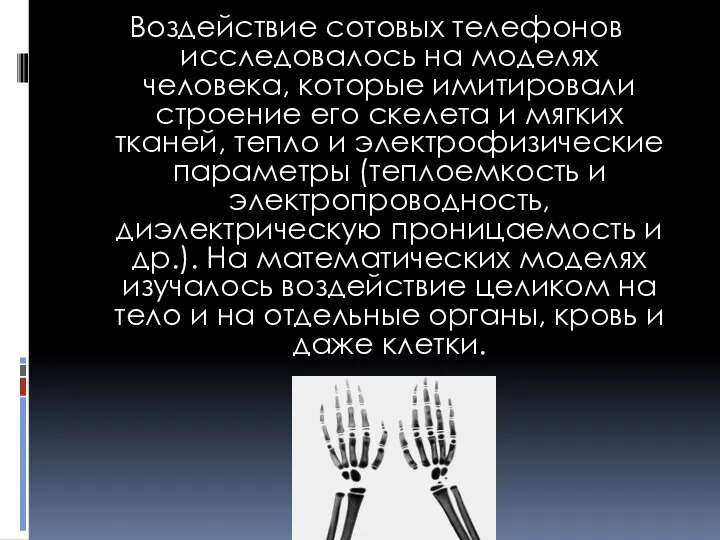 Воздействие сотовых телефонов исследовалось на моделях человека, которые имитировали строение его