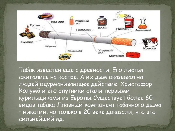 Табак известен еще с древности. Его листья сжигались на костре. А