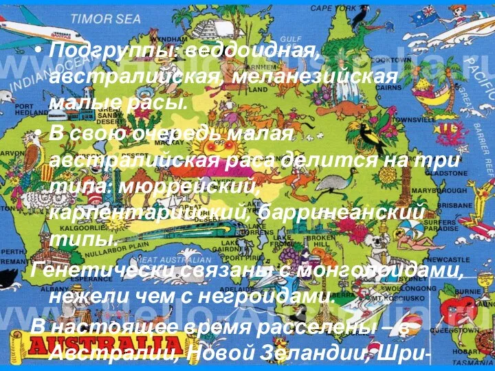 Подгруппы: веддоидная, австралийская, меланезийская малые расы. В свою очередь малая австралийская