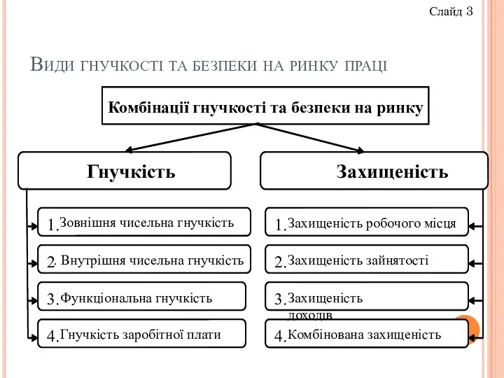 Види гнучкості та безпеки на ринку праці Слайд 3