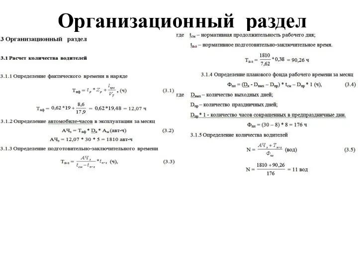 Организационный раздел