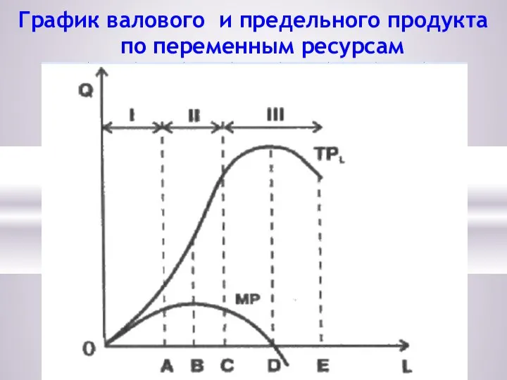 График валового и предельного продукта по переменным ресурсам