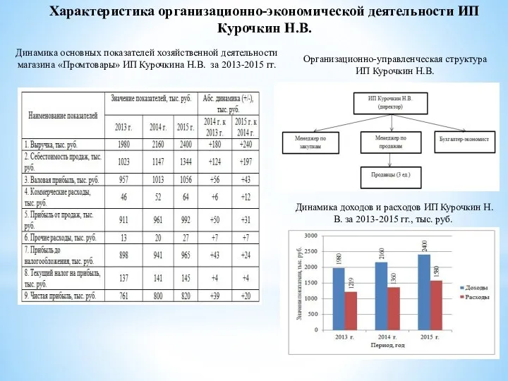 Характеристика организационно-экономической деятельности ИП Курочкин Н.В. Динамика основных показателей хозяйственной деятельности