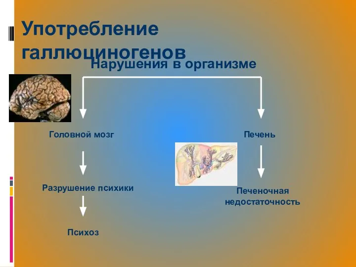 Употребление галлюциногенов Головной мозг Психоз Печень Печеночная недостаточность Разрушение психики Нарушения в организме