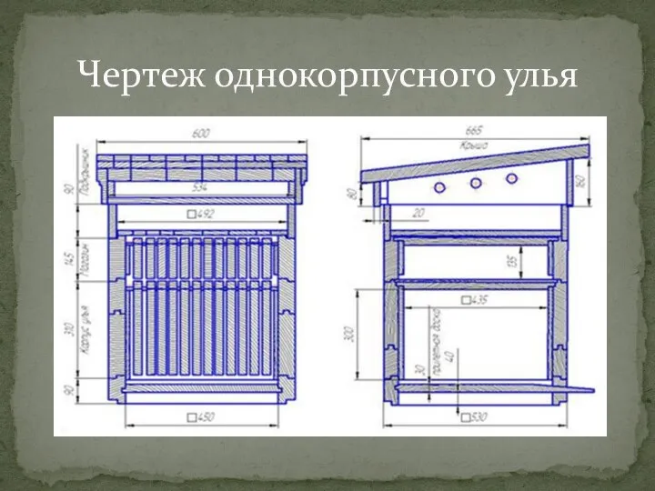 Чертеж однокорпусного улья