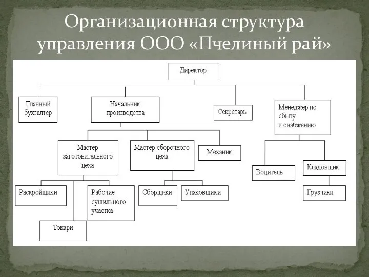 Организационная структура управления ООО «Пчелиный рай»