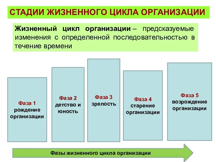 СТАДИИ ЖИЗНЕННОГО ЦИКЛА ОРГАНИЗАЦИИ Жизненный цикл организации – предсказуемые изменения с