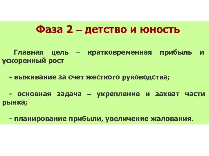 Фаза 2 – детство и юность Главная цель – кратковременная прибыль