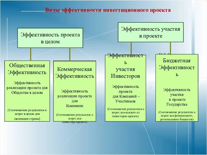 Эффективность проекта в целом Эффективность участия в проекте Общественная эффективность Коммерческая