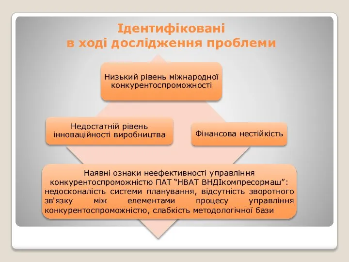 Ідентифіковані в ході дослідження проблеми