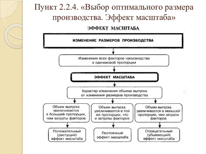 Пункт 2.2.4. «Выбор оптимального размера производства. Эффект масштаба»