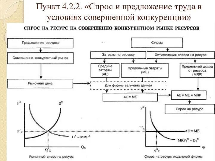 Пункт 4.2.2. «Спрос и предложение труда в условиях совершенной конкуренции»