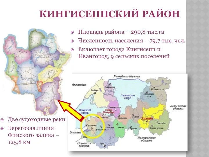 КИНГИСЕППСКИЙ РАЙОН Площадь района – 290,8 тыс.га Численность населения – 79,7