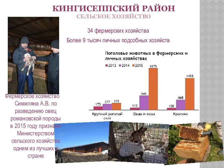 КИНГИСЕППСКИЙ РАЙОН СЕЛЬСКОЕ ХОЗЯЙСТВО 34 фермерских хозяйства Более 9 тысяч личных