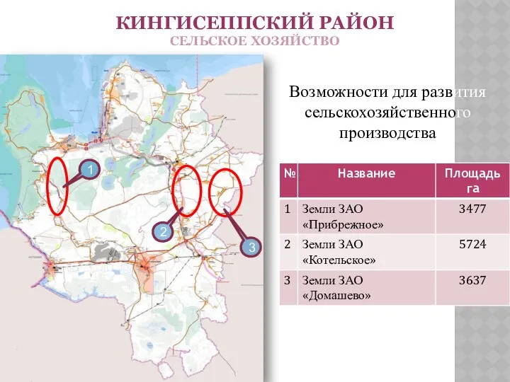 КИНГИСЕППСКИЙ РАЙОН СЕЛЬСКОЕ ХОЗЯЙСТВО Возможности для развития сельскохозяйственного производства