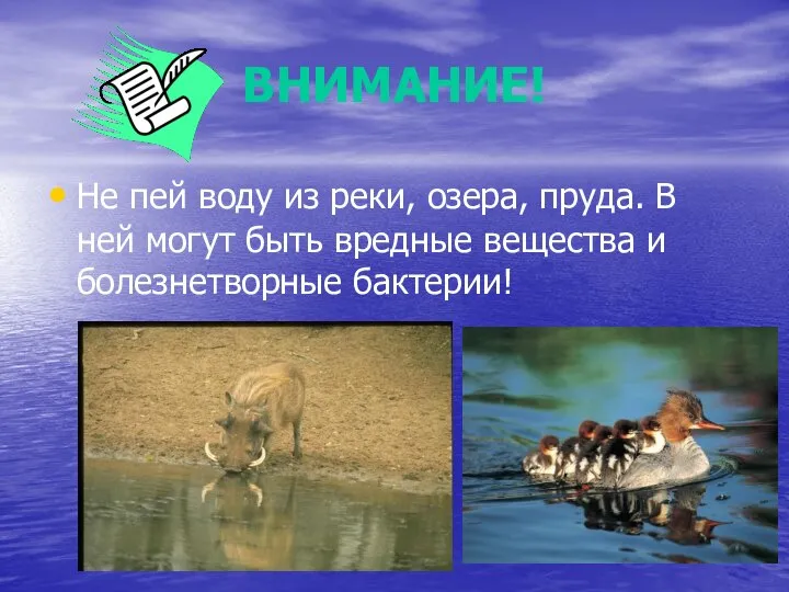 ВНИМАНИЕ! Не пей воду из реки, озера, пруда. В ней могут