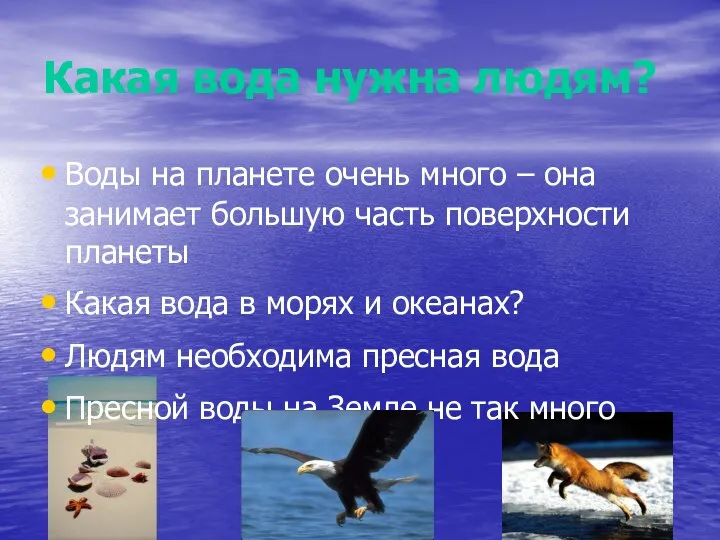 Какая вода нужна людям? Воды на планете очень много – она