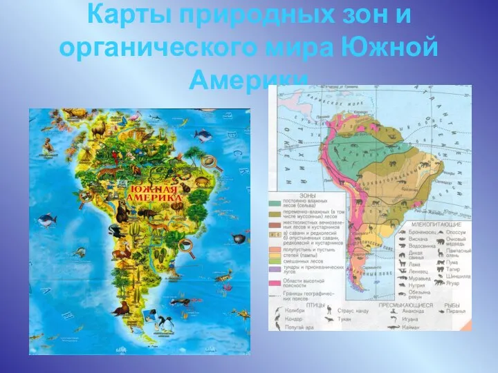 Карты природных зон и органического мира Южной Америки