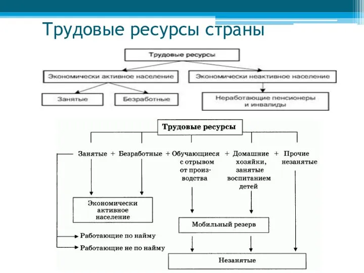 Трудовые ресурсы страны