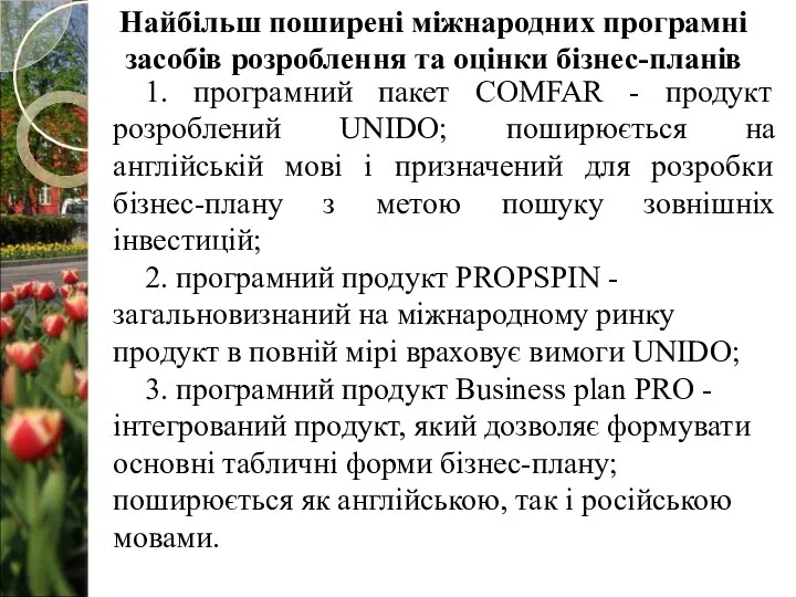 1. програмний пакет COMFAR - продукт розроблений UNIDO; поширюється на англійській