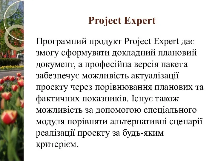 Project Expert Програмний продукт Project Expert дає змогу сформувати докладний плановий