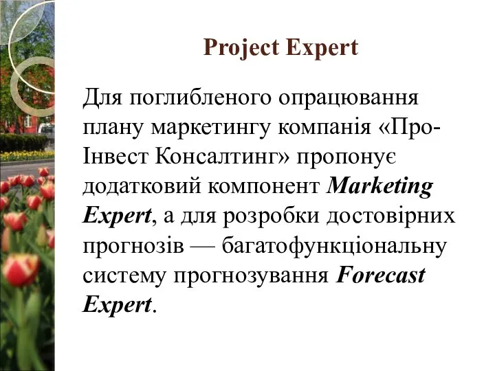 Project Expert Для поглибленого опрацювання плану маркетингу компанія «Про-Інвест Консалтинг» пропонує
