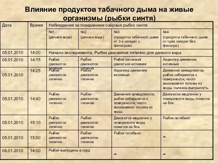 Влияние продуктов табачного дыма на живые организмы (рыбки синтя)