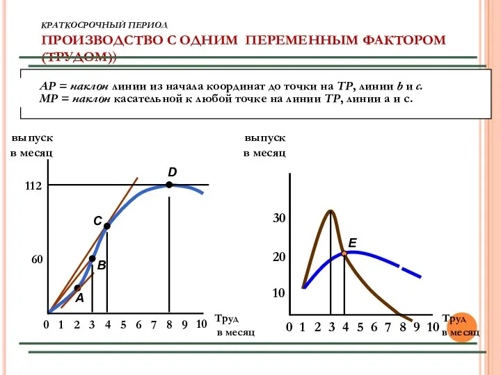 КРАТКОСРОЧНЫЙ ПЕРИОД ПРОИЗВОДСТВО С ОДНИМ ПЕРЕМЕННЫМ ФАКТОРОМ (ТРУДОМ)) Труд в месяц