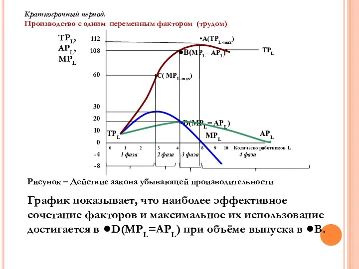 •А(TPL-max) •В(MPL= APL) TPL •C( MPL-max) APL •D(MPL= APL) MPL TPL