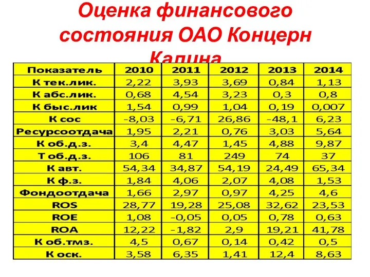 Оценка финансового состояния ОАО Концерн Калина