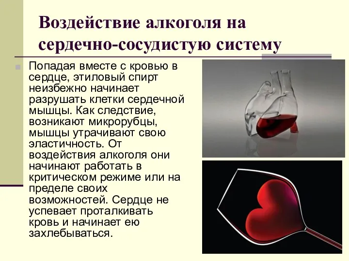 Воздействие алкоголя на сердечно-сосудистую систему Попадая вместе с кровью в сердце,