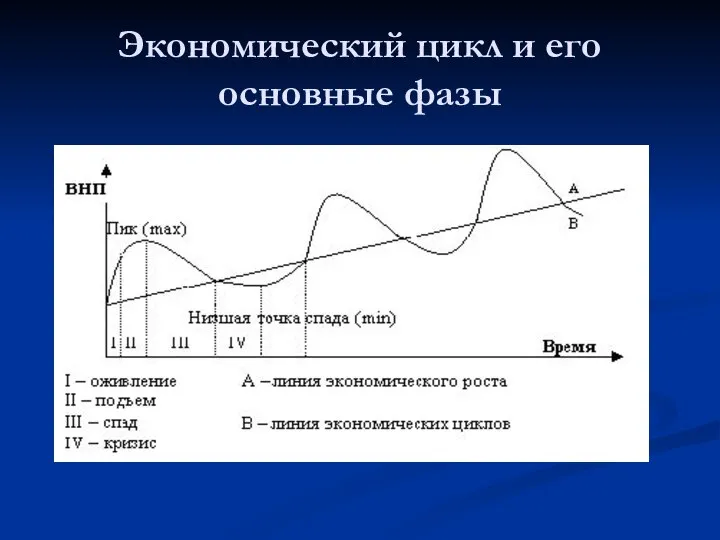 Экономический цикл и его основные фазы