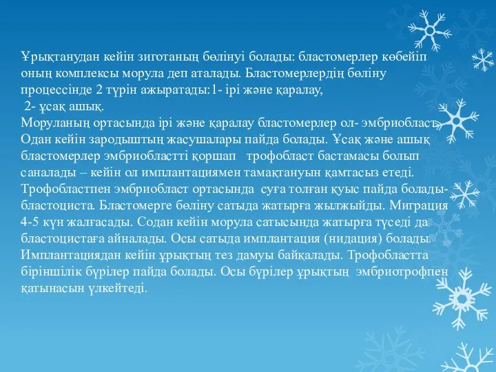 Ұрықтанудан кейін зиготаның бөлінуі болады: бластомерлер көбейіп оның комплексы морула деп