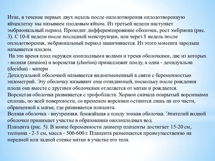 Итак, в течение первых двух недель после оплодотворения оплодотворенную яйцеклетку мы