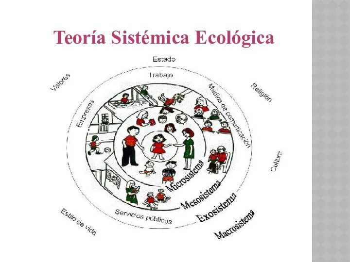 Teoría Sistémica Ecológica