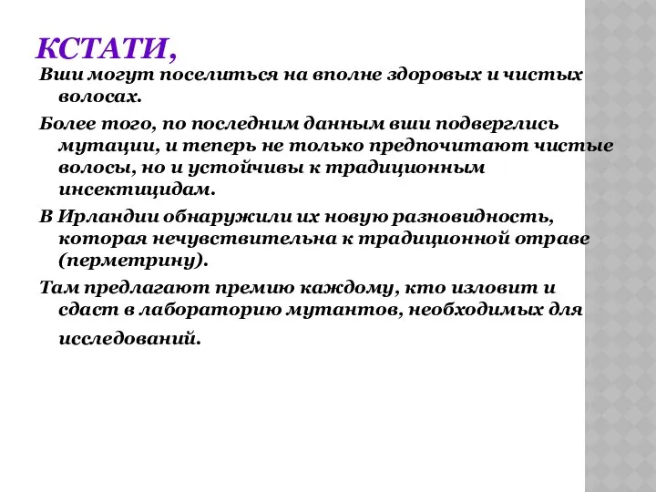 КСТАТИ, Вши могут поселиться на вполне здоровых и чистых волосах. Более