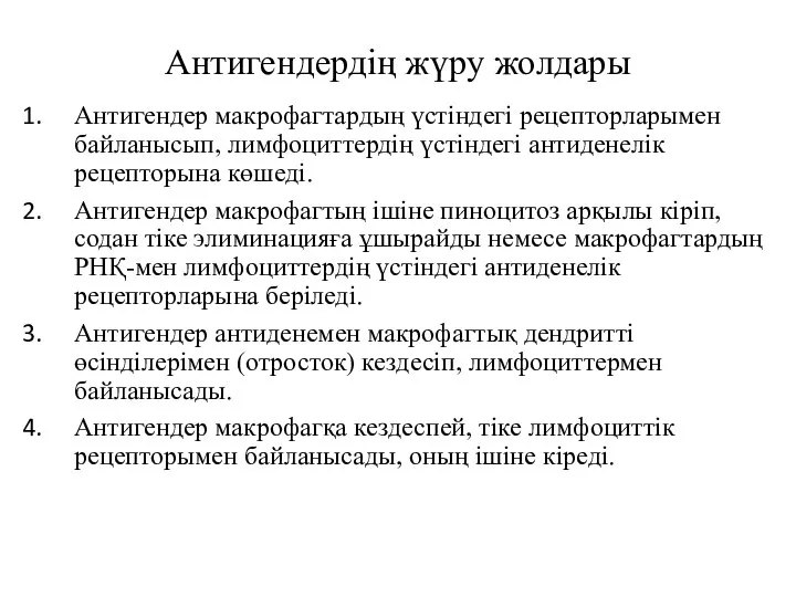 Антигендердің жүру жолдары Антигендер макрофагтардың үстіндегі рецепторларымен байла­нысып, лимфоциттердің үстіндегі антиденелік