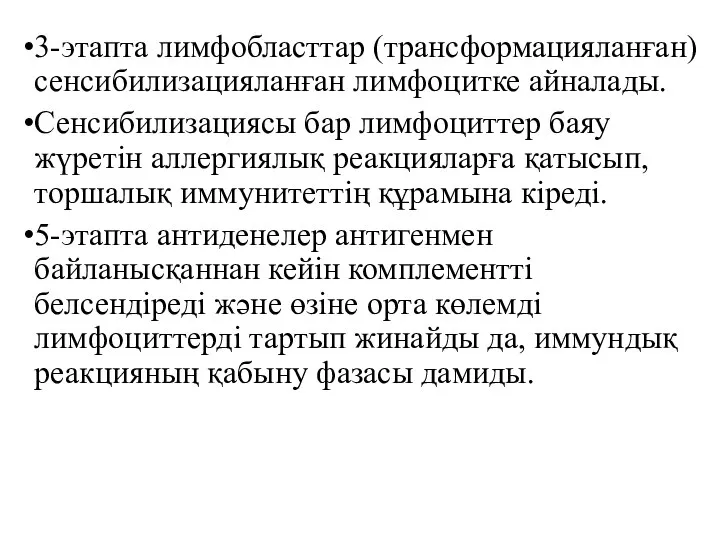 3-этапта лимфобласттар (трансформацияланған) сенсибилизация­ланған лимфоцитке айналады. Сенсибилизациясы бар лимфоциттер баяу жүретін