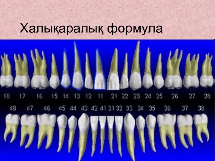 Халықаралық формула