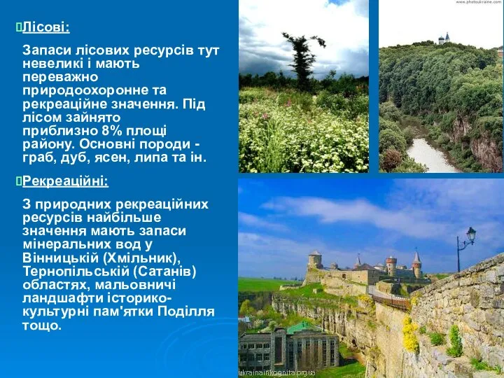 Лісові: Запаси лісових ресурсів тут невеликі і мають переважно природоохоронне та